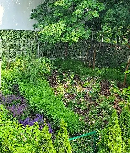 Апартаменты Sunrise *