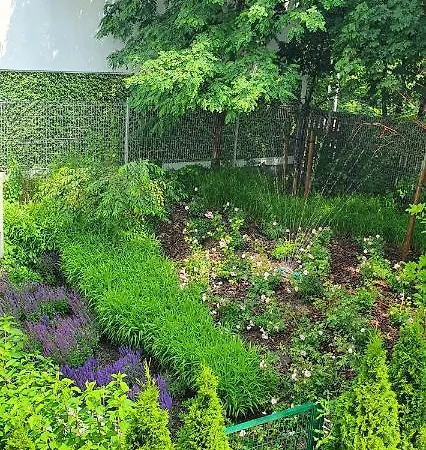 Апартаменти Sunrise *